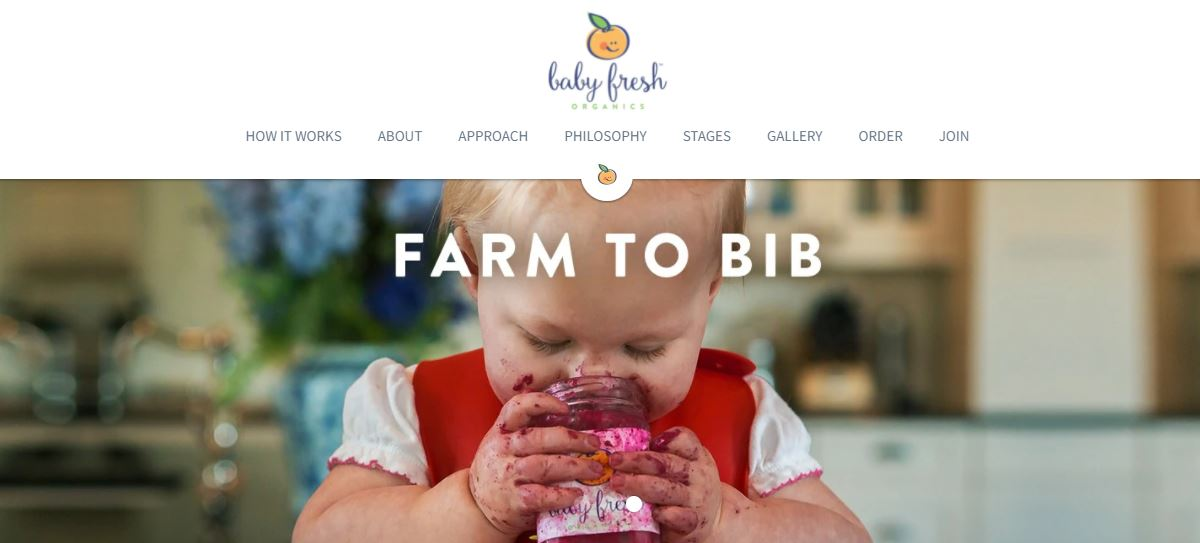 ecommerce website ecommerce website